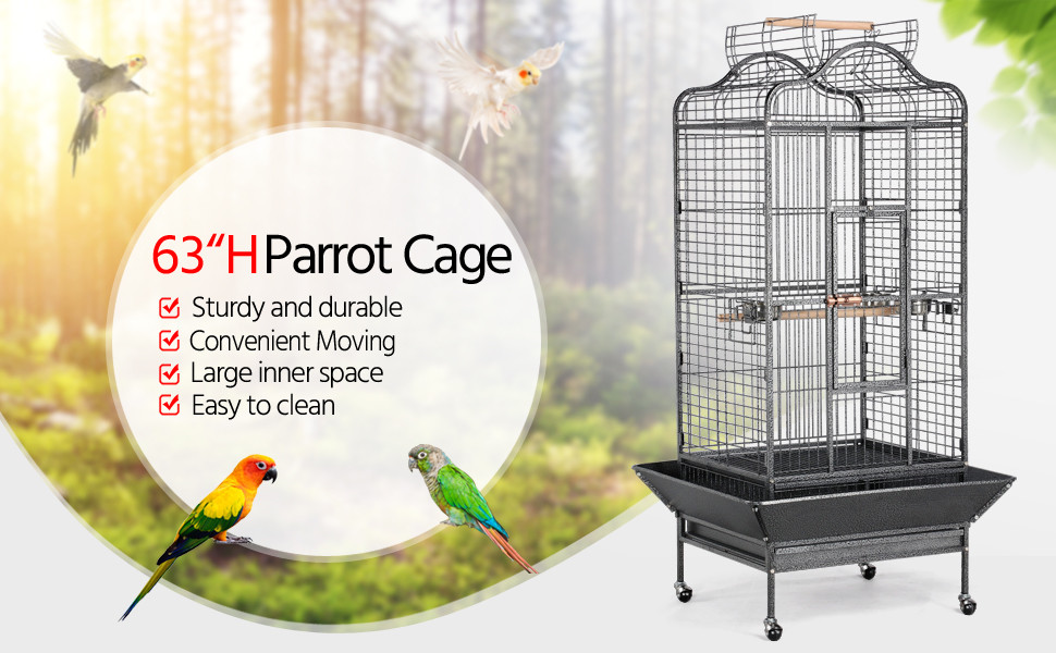 Wholesale bird online cages and supplies
