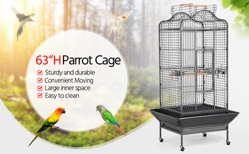 6 Must-Know Birdcage Buying Tips
