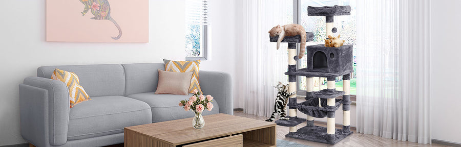 Pawscoo Cat Tree Buying Guide