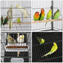 Pawscoo 52-inch Wrought Iron Standing Large Flight Bird Cage - Pawscoo