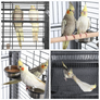 Pawscoo 63-inch Iron Rolling Extra Large Bird Cage - Pawscoo