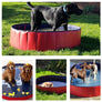 Pawscoo Dog Swimming Pool XXL