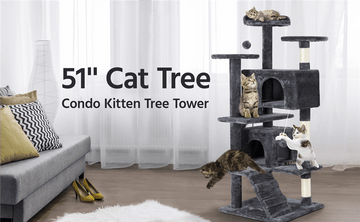 Buying Guide: How to Choose a Suitable Cat Tree for Your Cat?
